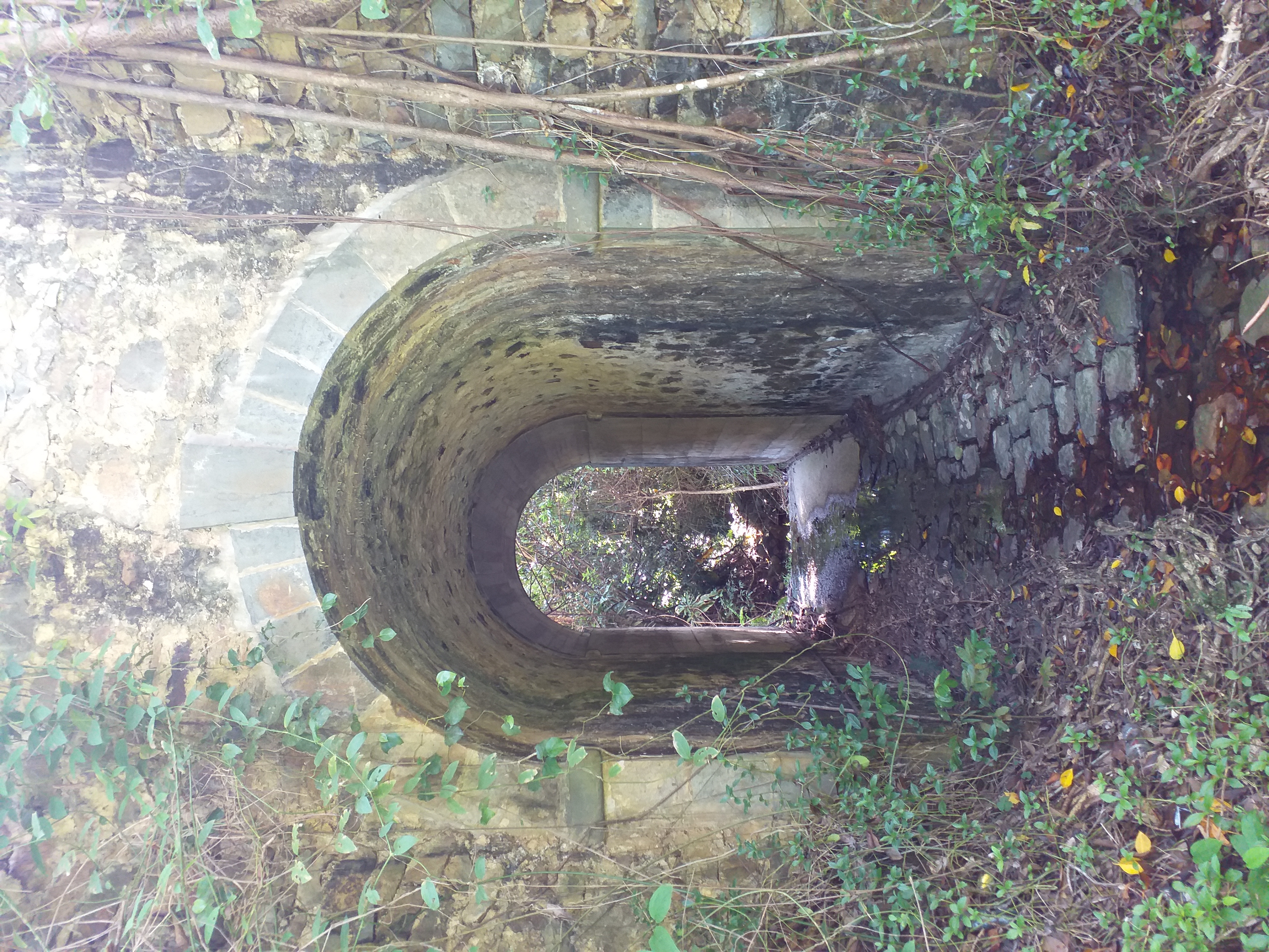 Créer un blog dédié au patrimoine architectural calédonien